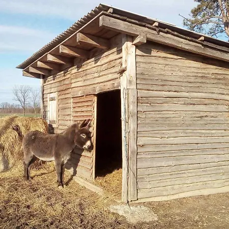 Apartma Max Moravske Toplice