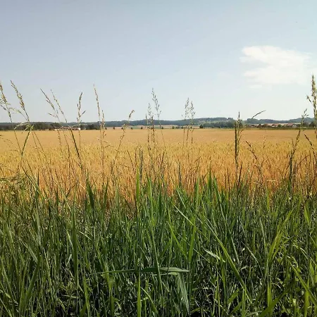 Daire Apartma Max Moravske-Toplice