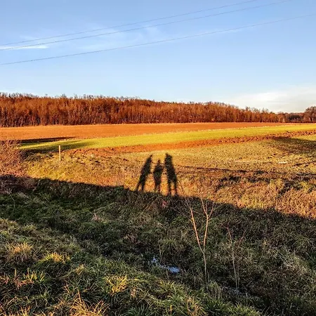 Apartmán Apartma Max *