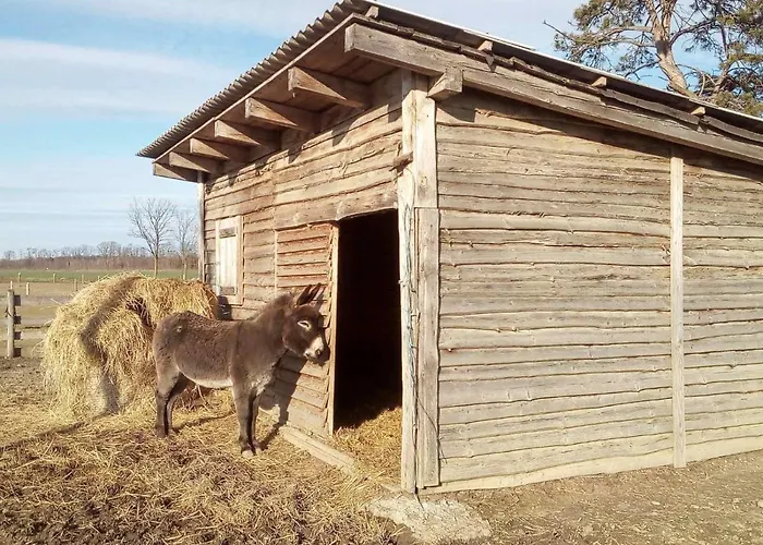 Apartma Max Moravske Toplice